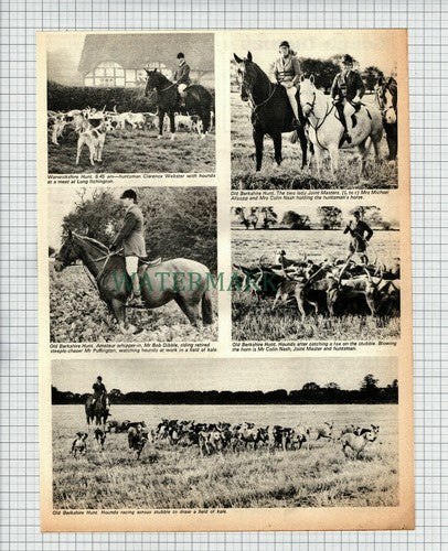 X1784) Warwickshire  / Old Berkshire Hunt Colin Nash Bob Dibble - c.1975 Cutting