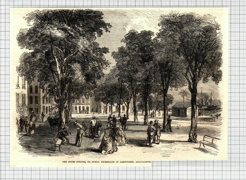 The Cours Nolivos Basseterre Guadaloupe  - 1865 Cutting / Print