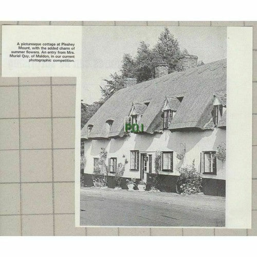 Pleshey Mount Essex Cottage  - 1971 Cutting
