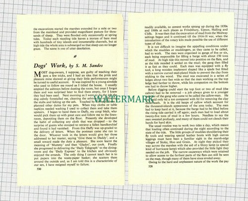 C1782) The Medway Muddings Portland Cement - 1950s SMALL Article