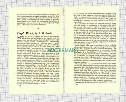 C1782) The Medway Muddings Portland Cement - 1950s SMALL Article