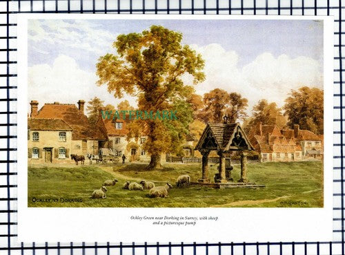(6999) Ockley Green Dorking Surrey  - 1980s Cutting