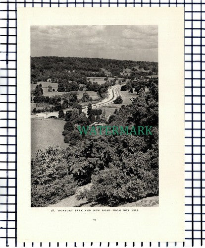 (7459) Norbury Park /  Box Hill Surrey  -  1949 Print / Cutting