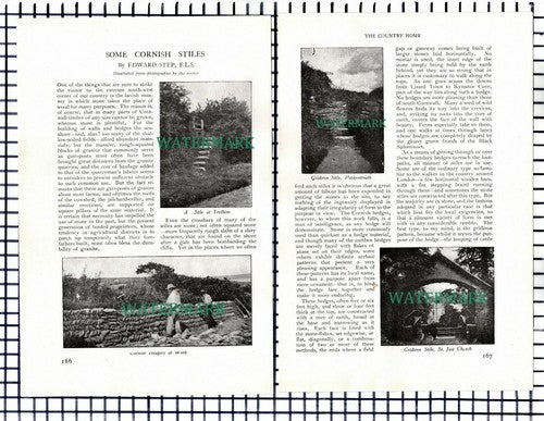 (7644) Cornish Stiles Cornwall  Edward Step  -   c.1911   3-Side Article
