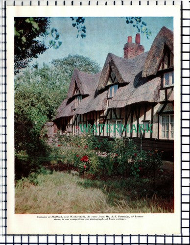 (7126) Shalford Wethersfield Essex Cottages - 1964 Cutting
