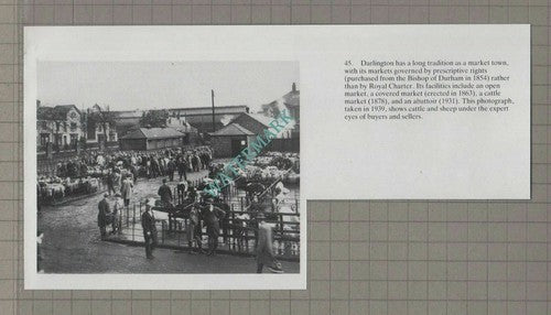 (262) Darlington Cattle Market  - Cutting