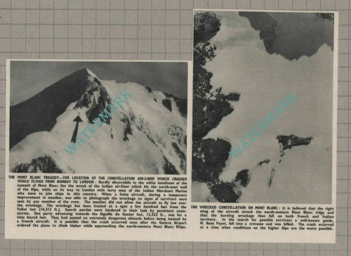 Mont Blanc Tragedy Constellation Airliner Plane Crash Rene Payot - 1950 Cutting