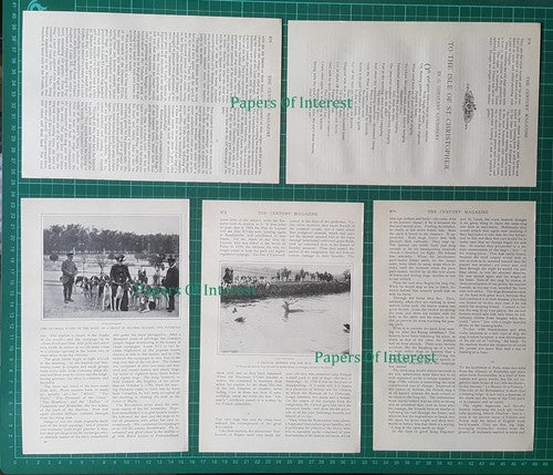 The Duchess D'Uzes Hunting Hounds Celle Les Bordes - 1903 Article