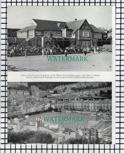 (7708) White Rock Bowling Green Hastings Central Cricket Ground -   1957 Cutting