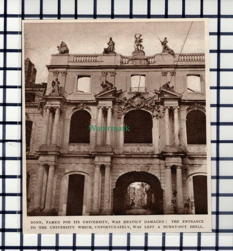 C4255) Bonn University Germany War Damage - 1945 Cutting