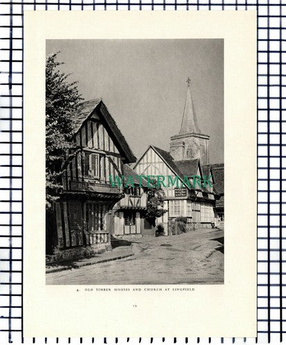(7440) Lingfield Surrey / Godstone Cricket - 1949 Print / Cutting