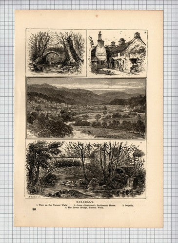 (6471) Dolgelly  - 1893 Print / Cutting