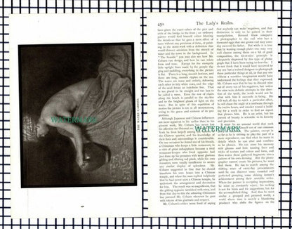 (7037) Alvin Langdon Coburn Artist Amber Reeves  - c.1909 Article