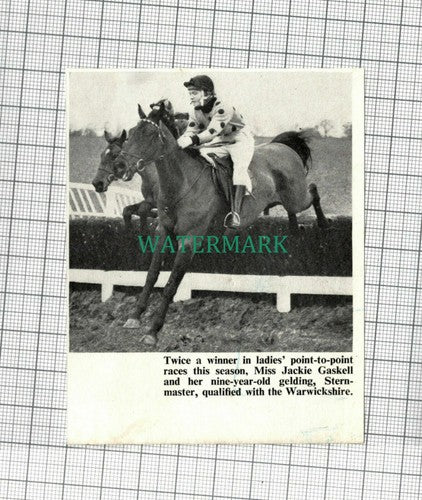 C1885) Jackie Gaskell Point to Point Horse Sternmaster Warwickshire - 1972 Clip
