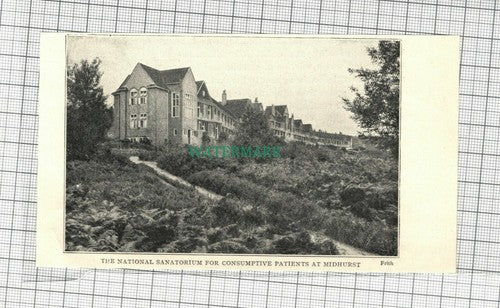 C1812) The National Sanatorium Midhurst Consumption TB  c.1915 Cutting