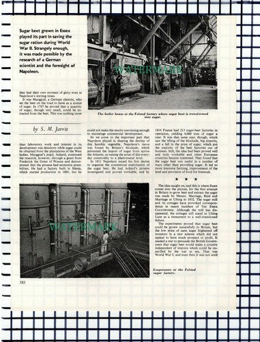 Felsted Sugar Factory Felsted Essex  - 1964 Article / Print