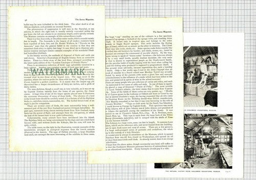 Haslemere Educational Museum  - 1900 Article