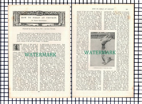 (5924) Cricket Prince Ranjitsinhji  - c.1900 Article