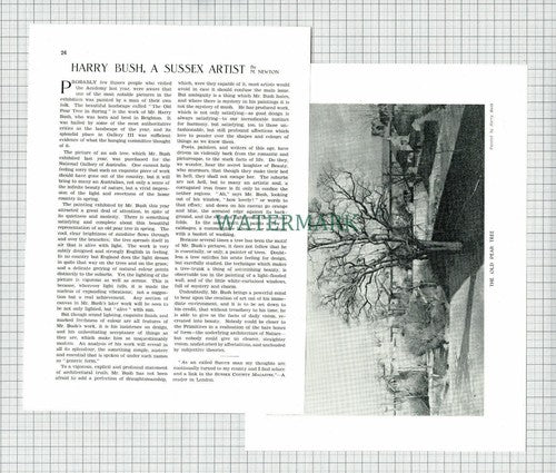 (8664) Harry Bush Sussex Artist  - 1930 Article