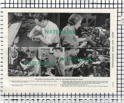 (96) Florsheim Shoe Company  Boot & Shoe Machinery - c.1950s Cutting