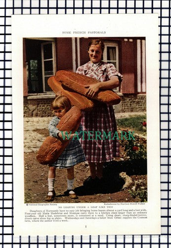 (8037) Meaux River Marne Hotel de Ville / Couteau Farm  France - 1940 Cutting