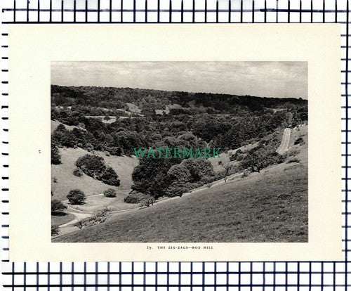 (7459) Norbury Park /  Box Hill Surrey  -  1949 Print / Cutting