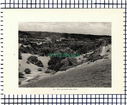 (7459) Norbury Park /  Box Hill Surrey  -  1949 Print / Cutting