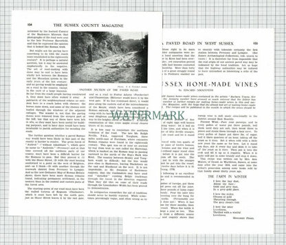 (8665) Henley Sussex  - 1930 Article