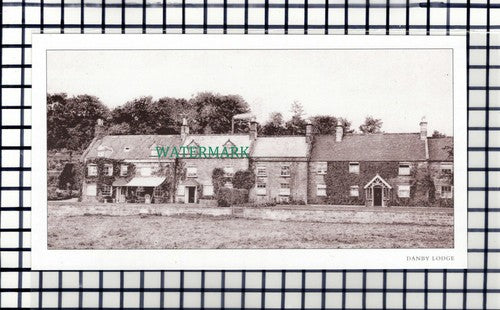 C7110) Danby Lodge  - Cutting