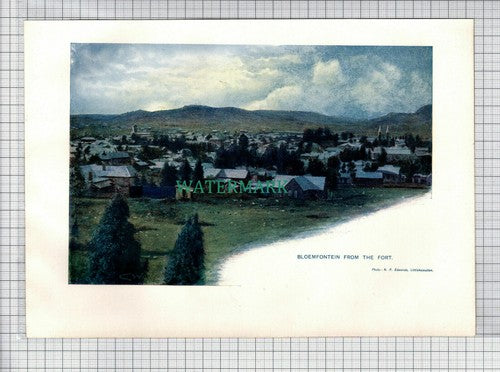 (5586) BLOEMFONTEIN South Africa - c.1910 Print