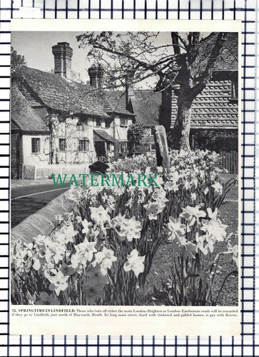 (7764) Lindfield Sussex / Shipley Smock Mill - 1960s Book Print