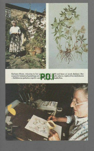 Barbara Shaw Botanical Artist Cononley Skipton Harlow Car - 1989 Article