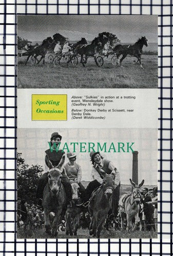 C7167) Scissett Denby Dale Donkey Derby - 1974 Cutting