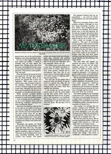 (8339) Polly Jameson Essex -  1988 Article