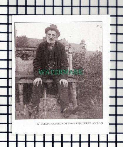 C7111) William Raine West Ayton Postmaster   - Cutting
