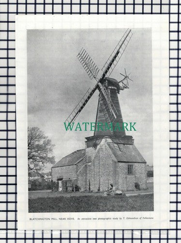 (8196) Blatchington Mill Windmill Hove Sussex  - 1950 Cutting