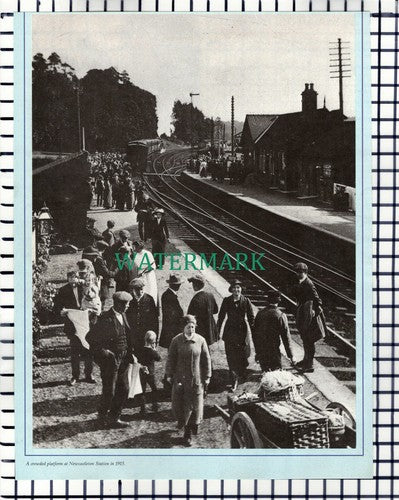 (7389) Newcastleton Station - Cutting