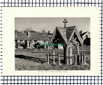 (7435) Brockham Green Surrey Pump / Betchworth Park Golf - 1949 Print / Cutting