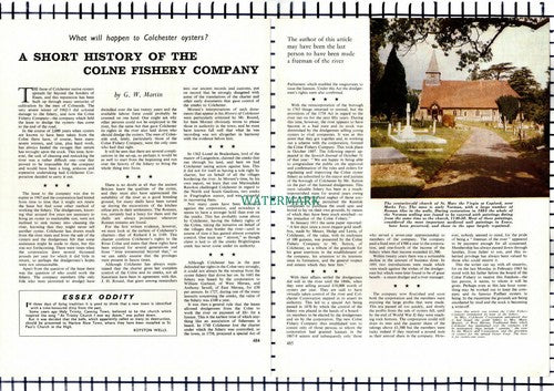 Colne Fishery Company Colchester Essex - 1964 Article / Print