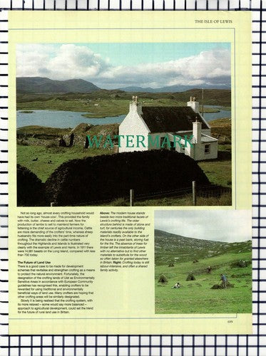 X1524) Isle Of Lewis Scotland Crofting    - 1986 Article