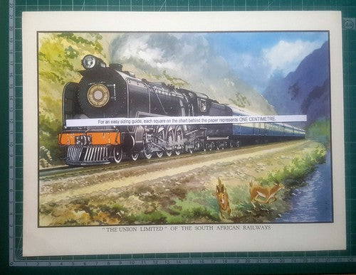 THE UNION LIMITED South African Railways - 1950s Cutting / Print