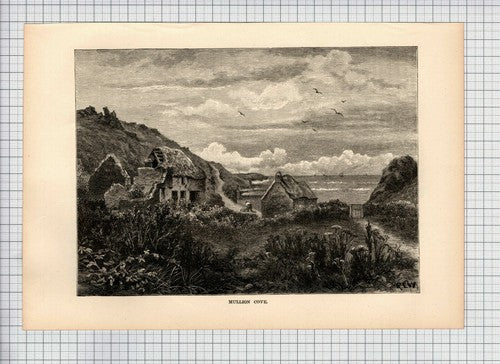 (6467) Mullion Cove  - 1893 Print / Cutting