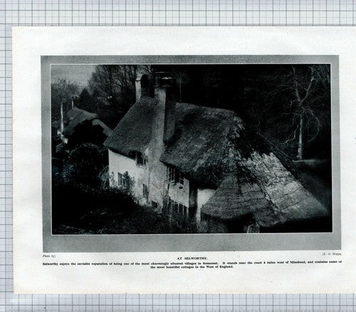 (5898) Church Tower North Curry Durston / Selworthy Cottage  c.1930s Book Print