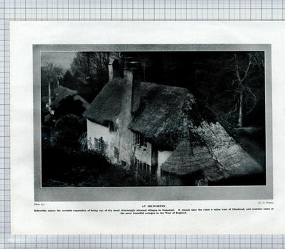 (5898) Church Tower North Curry Durston / Selworthy Cottage  c.1930s Book Print