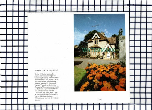 C7068) Balfour Lodge Sidmouth  - 1980s Cutting