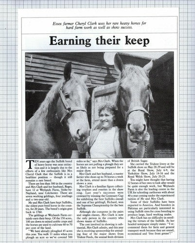 (5529) Cheryl & Roger Clark Weylands Farm Stoke by Nayland Horses - 1987 Article