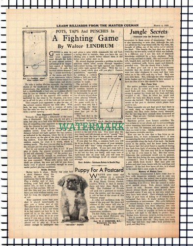 X1496) Wynant Davis Hubbard Game Hunter  - 1933 Article