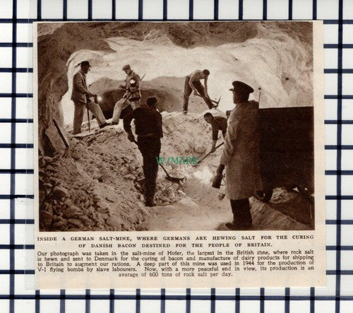 C6216) German Salt Mine Hofer Danish Bacon  - 1945 Cutting