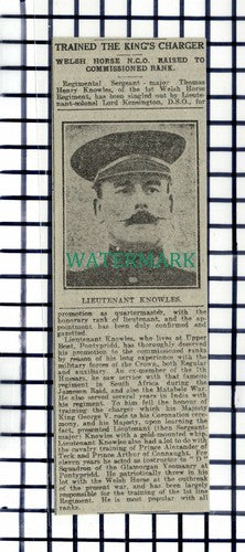 C7217) Sgt Major Thomas Henry Knowles 1st Welsh Horse Pontypridd  - 1916 Cutting