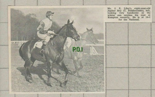 (5415) M J E Liley  Jupiter Boy Horse T Biddlecombe Kempton  - 1969 Clip